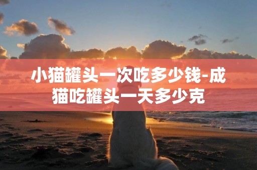 小貓罐頭一次吃多少錢-成貓吃罐頭一天多少克