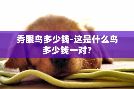 秀眼鳥多少錢-這是什么鳥多少錢一對？