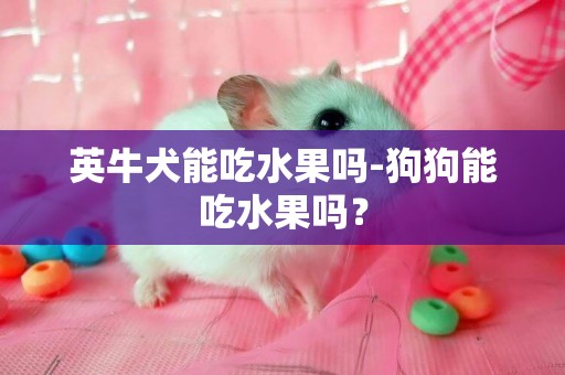 英牛犬能吃水果嗎-狗狗能吃水果嗎？