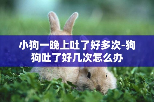小狗一晚上吐了好多次-狗狗吐了好幾次怎么辦
