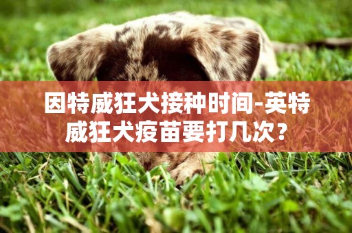 因特威狂犬接種時間-英特威狂犬疫苗要打幾次？