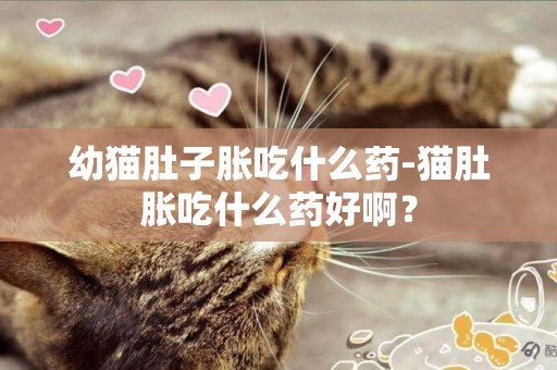 幼貓肚子脹吃什么藥-貓肚脹吃什么藥好啊？