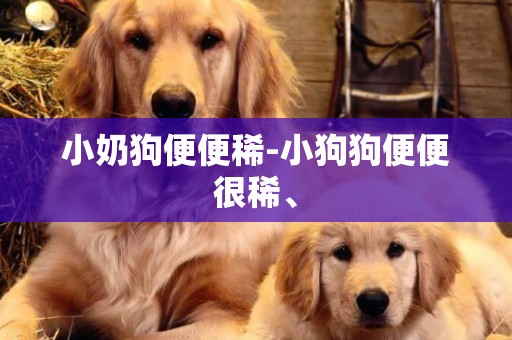 小奶狗便便稀-小狗狗便便很稀、