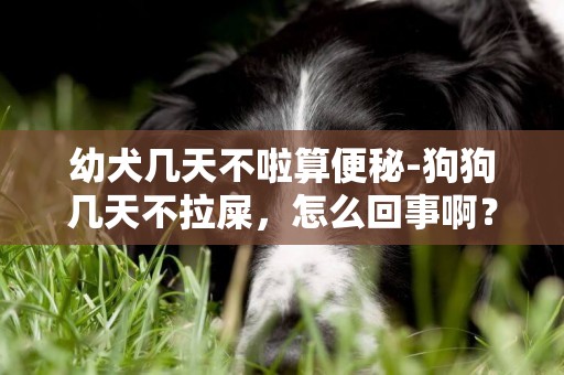 幼犬幾天不啦算便秘-狗狗幾天不拉屎，怎么回事啊？