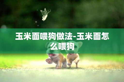 玉米面喂狗做法-玉米面怎么喂狗
