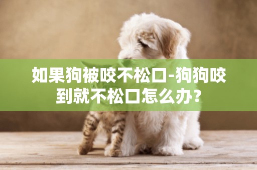 如果狗被咬不松口-狗狗咬到就不松口怎么辦？
