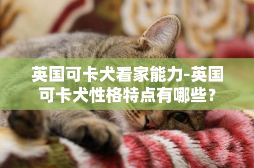 英國可卡犬看家能力-英國可卡犬性格特點有哪些？