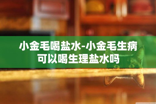 小金毛喝鹽水-小金毛生病可以喝生理鹽水嗎