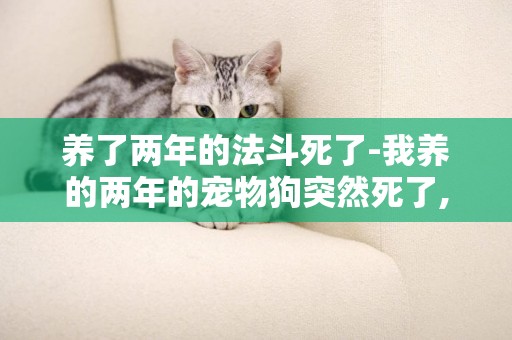 養了兩年的法斗死了-我養的兩年的寵物狗突然死了,咋?回事