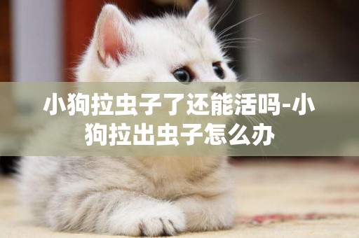 小狗拉蟲子了還能活嗎-小狗拉出蟲子怎么辦