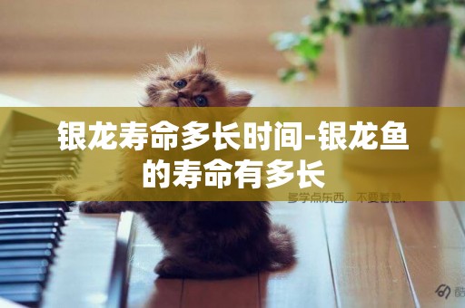 銀龍壽命多長時間-銀龍魚的壽命有多長