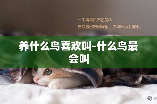 養什么鳥喜歡叫-什么鳥最會叫