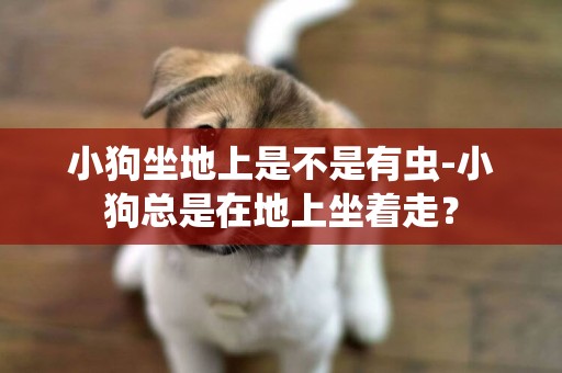 小狗坐地上是不是有蟲-小狗總是在地上坐著走？