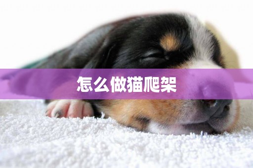 怎么做貓爬架