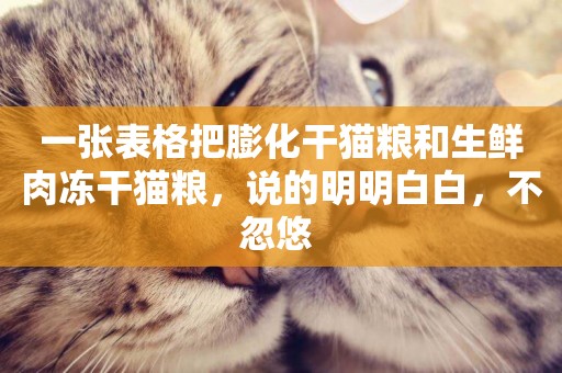 一張表格把膨化干貓糧和生鮮肉凍干貓糧，說的明明白白，不忽悠 