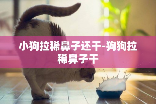 小狗拉稀鼻子還干-狗狗拉稀鼻子干