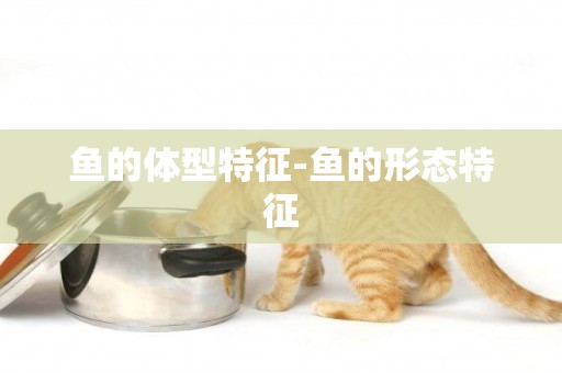 魚的體型特征-魚的形態特征