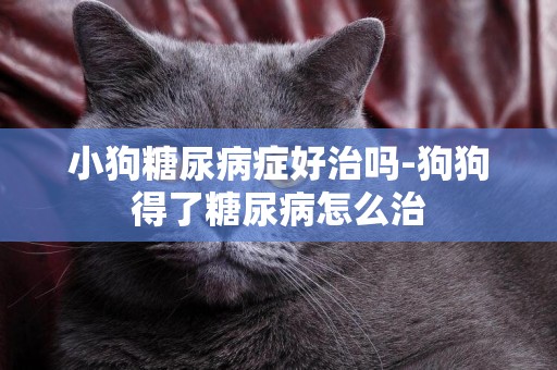 小狗糖尿病癥好治嗎-狗狗得了糖尿病怎么治