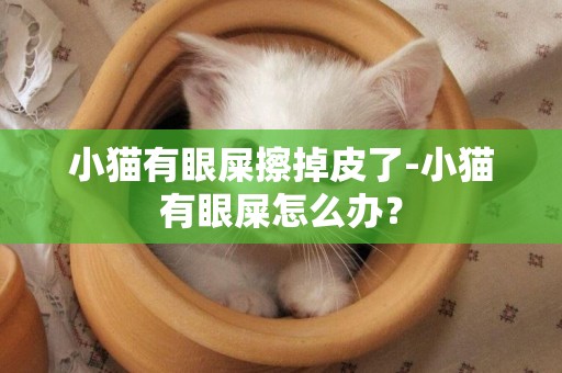小貓有眼屎擦掉皮了-小貓有眼屎怎么辦？
