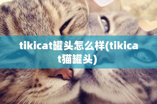 tikicat罐頭怎么樣(tikicat貓罐頭) 
