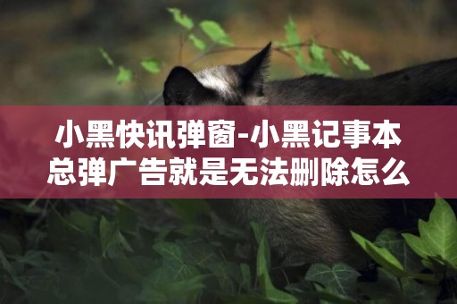 小黑快訊彈窗-小黑記事本總彈廣告就是無法刪除怎么辦？