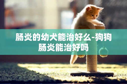 腸炎的幼犬能治好么-狗狗腸炎能治好嗎