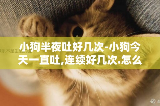 小狗半夜吐好幾次-小狗今天一直吐,連續好幾次.怎么辦?