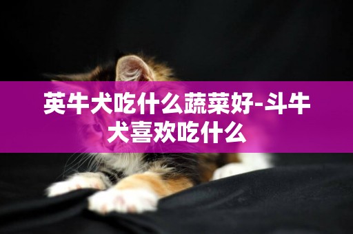 英牛犬吃什么蔬菜好-斗牛犬喜歡吃什么