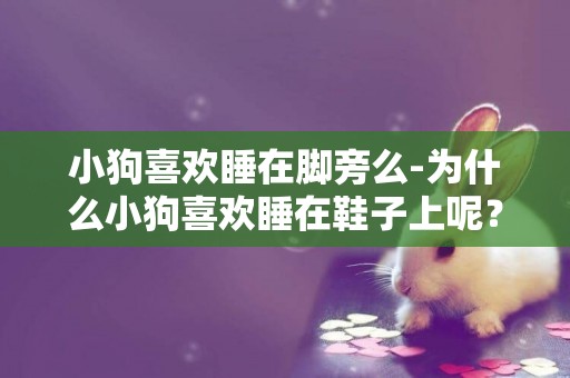 小狗喜歡睡在腳旁么-為什么小狗喜歡睡在鞋子上呢？
