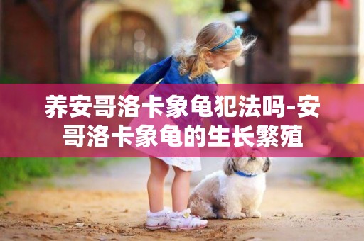 養安哥洛卡象龜犯法嗎-安哥洛卡象龜的生長繁殖