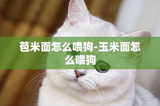 苞米面怎么喂狗-玉米面怎么喂狗