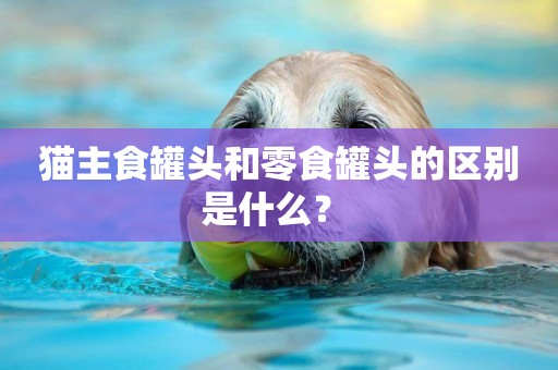 貓主食罐頭和零食罐頭的區別是什么？ 