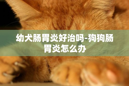 幼犬腸胃炎好治嗎-狗狗腸胃炎怎么辦