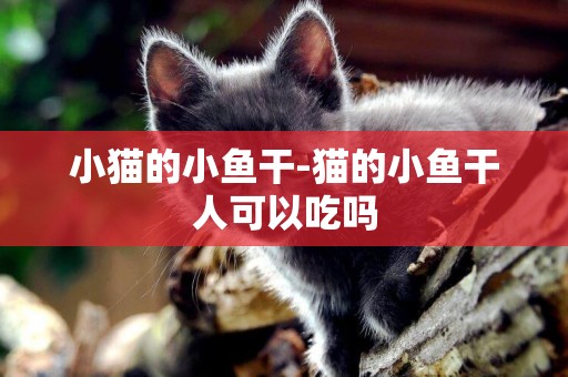 小貓的小魚干-貓的小魚干人可以吃嗎