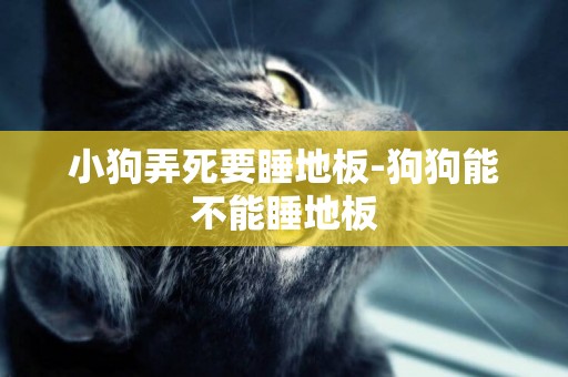 小狗弄死要睡地板-狗狗能不能睡地板