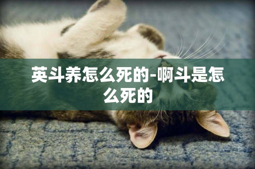 英斗養怎么死的-啊斗是怎么死的