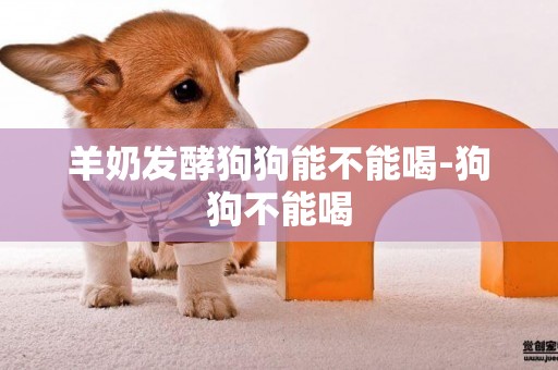 羊奶發酵狗狗能不能喝-狗狗不能喝