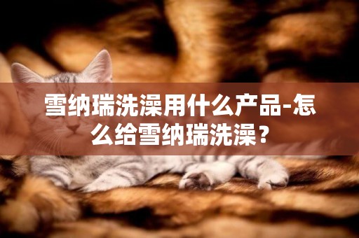 雪納瑞洗澡用什么產品-怎么給雪納瑞洗澡？