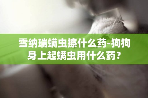 雪納瑞螨蟲擦什么藥-狗狗身上起螨蟲用什么藥？