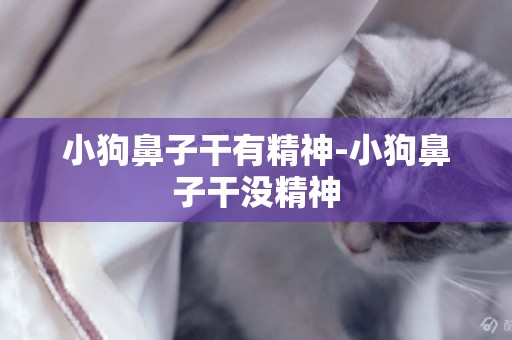 小狗鼻子干有精神-小狗鼻子干沒精神