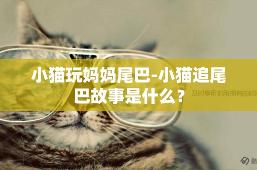 小貓玩媽媽尾巴-小貓追尾巴故事是什么？