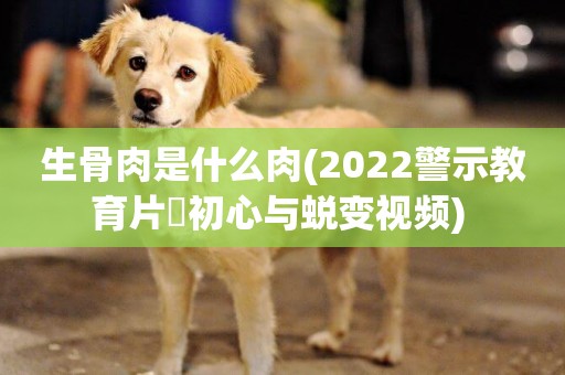 生骨肉是什么肉(2022警示教育片巜初心與蛻變視頻) 
