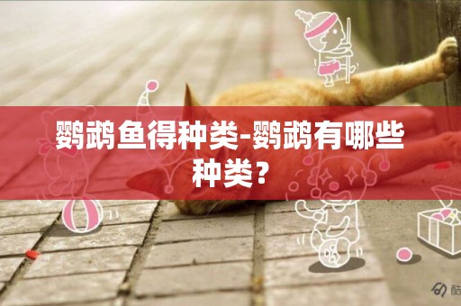鸚鵡魚得種類-鸚鵡有哪些種類？