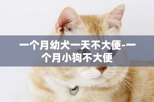 一個月幼犬一天不大便-一個月小狗不大便