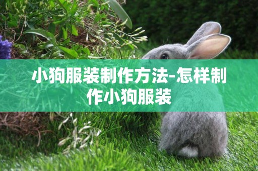 小狗服裝制作方法-怎樣制作小狗服裝