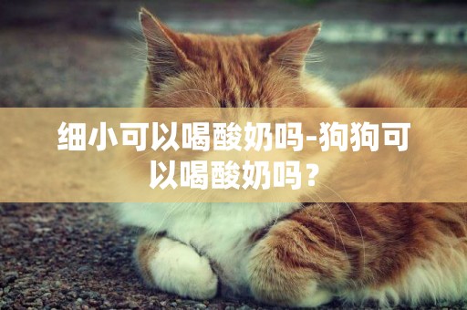 細小可以喝酸奶嗎-狗狗可以喝酸奶嗎？