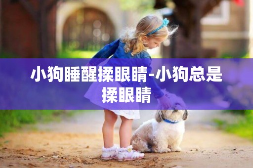 小狗睡醒揉眼睛-小狗總是揉眼睛