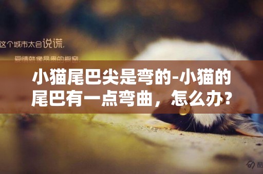 小貓尾巴尖是彎的-小貓的尾巴有一點彎曲，怎么辦？
