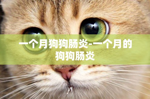 一個月狗狗腸炎-一個月的狗狗腸炎