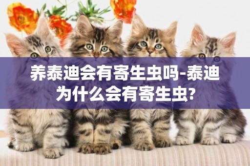 養泰迪會有寄生蟲嗎-泰迪為什么會有寄生蟲?